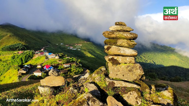 मनै लोभ्याउने इलामको जौबारी… (तस्विरहरु)