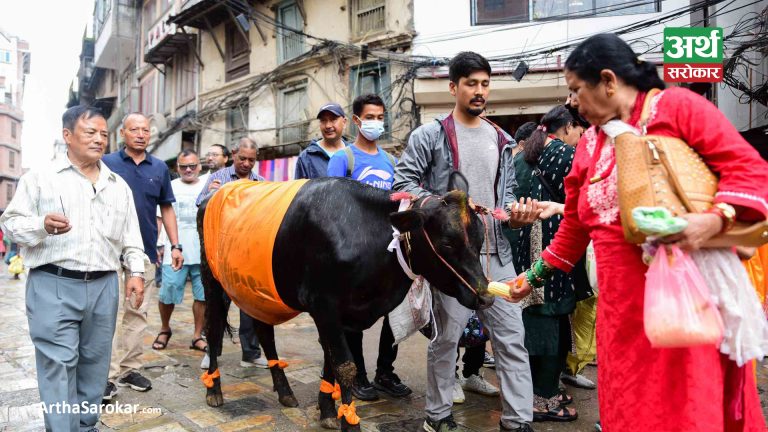 काठमाडौँमा यसरी मनाइँदैछ गाईजात्रा… (तस्विरहरू)